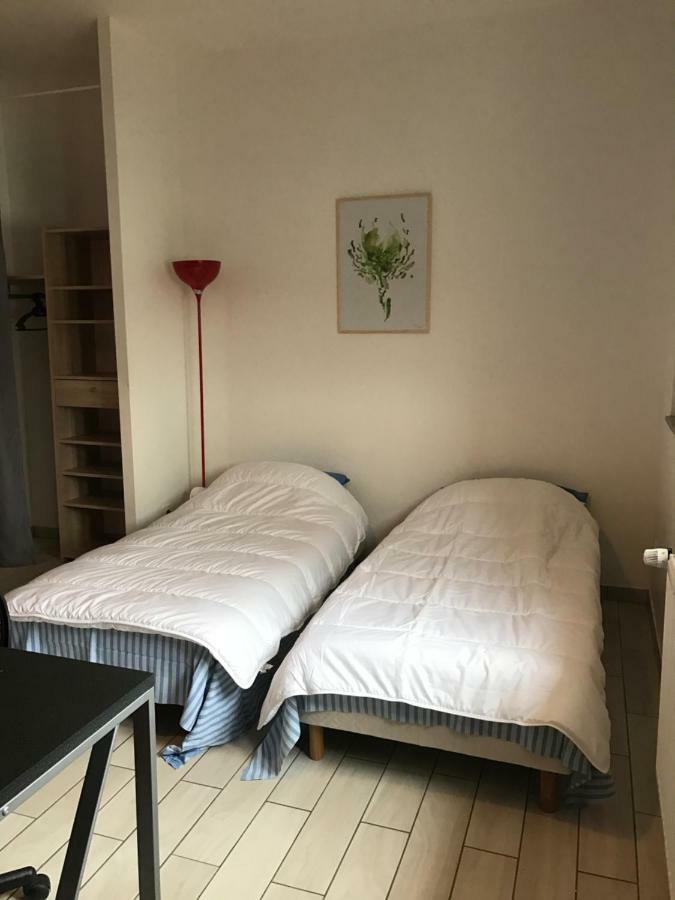 Les Studines Apartment Roanne Bagian luar foto